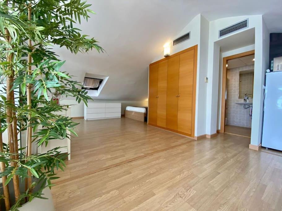Exclusive Beachfront Penthouse アルマヤテ・アルト エクステリア 写真